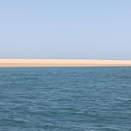 فيلا Nid D'Arguin لا تاسْتْ دو بوك المظهر الخارجي الصورة